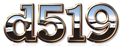 d519 logo